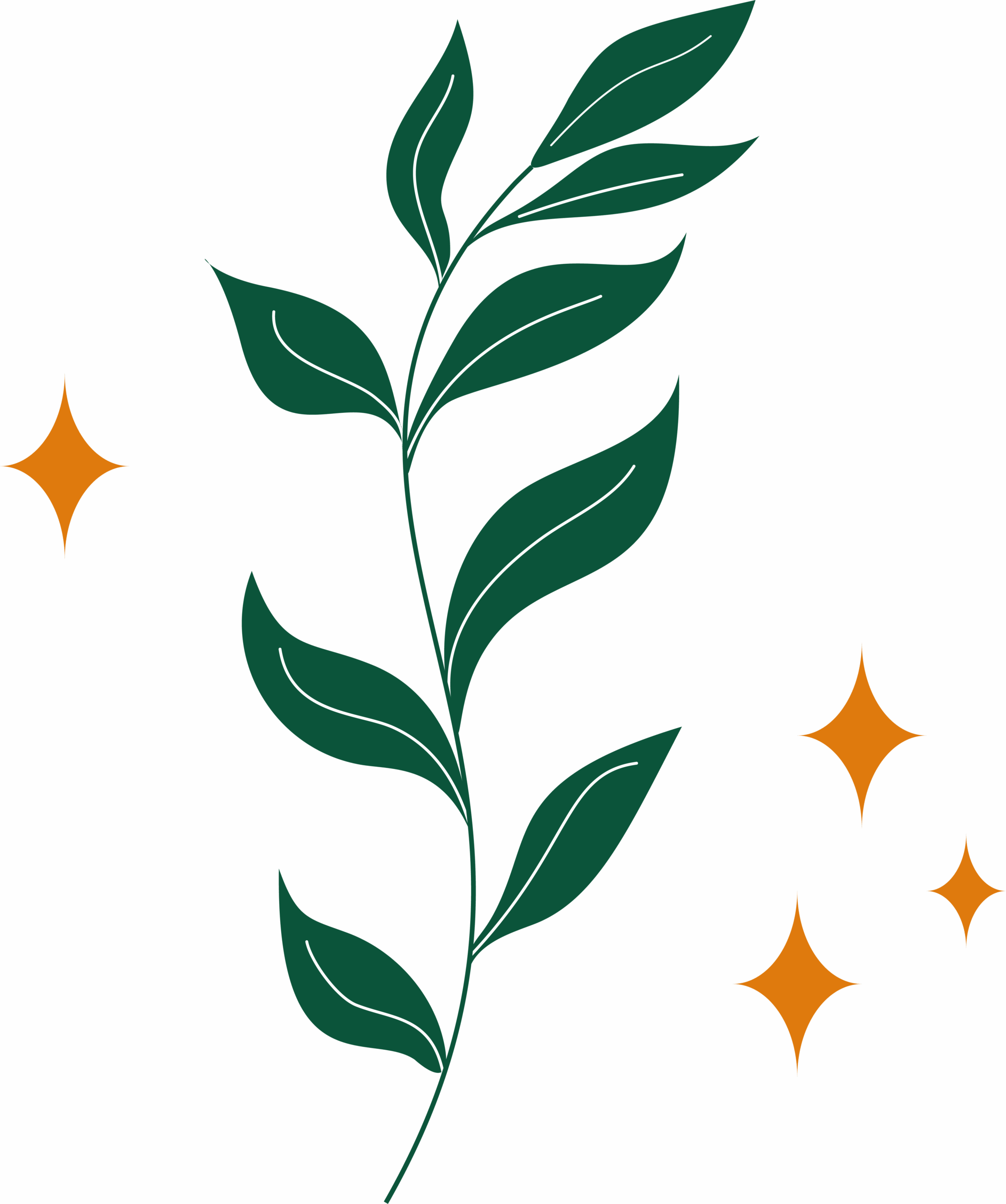 naturopathe